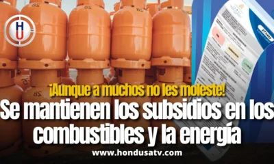 Gobierno extiende subsidios al gas LPG y energía eléctrica hasta abril de 2026