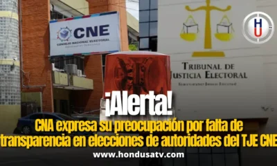 CNA alerta falta de transparencia en elección de autoridades electorales