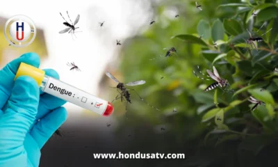 En aumento casos de dengue en el litoral Atlántico