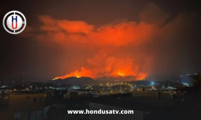 La Tigra arde en llamas por voraz incendio forestal