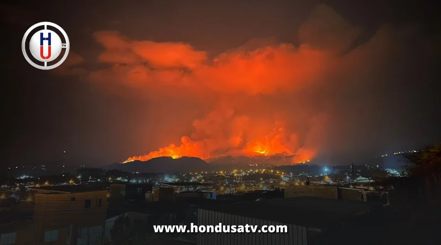 La Tigra arde en llamas por voraz incendio forestal