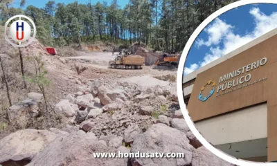 Auto de formal procesamiento por explotación ilegal de recursos naturales