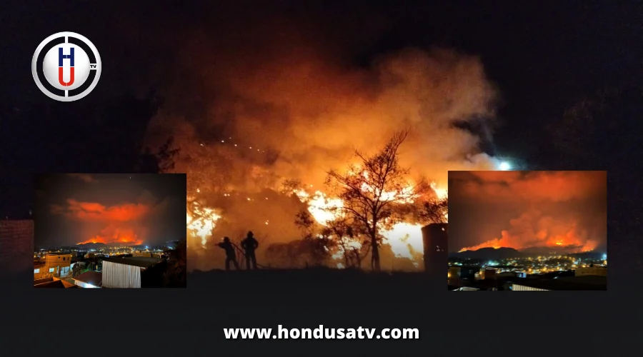 ICF reporta que casi 40 mil hectáreas han sido afectadas por los incendios forestales