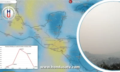 Gases contaminantes en la capital no es directamente ocasionada por los incendios forestales