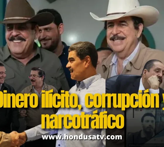 Señalamientos públicos de vínculos entre la familia  Zelaya y actividades de narcotráfico, lavado de dinero o financiamiento ilícito