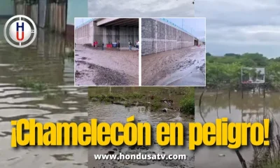 Más de 200 viviendas afectadas por inundaciones en Chamelecón, San Pedro Sula