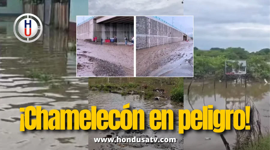 Más de 200 viviendas afectadas por inundaciones en Chamelecón, San Pedro Sula