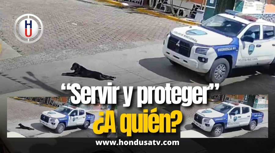 Policía atropella perro en San Buenaventura y genera indignación ciudadana