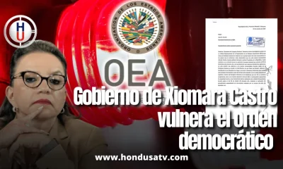 Diputadas denuncian ante la OEA que el gobierno de Xiomara Castro vulnera el orden democrático