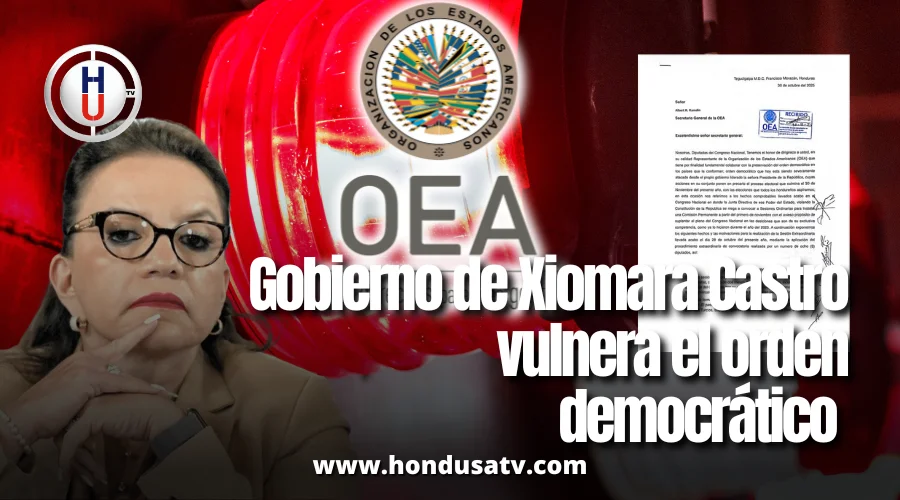 Diputadas denuncian ante la OEA que el gobierno de Xiomara Castro vulnera el orden democrático