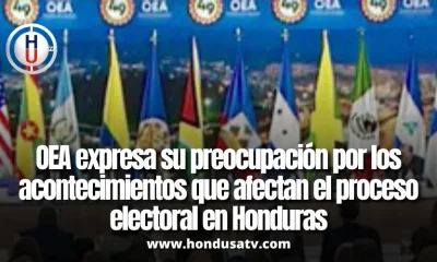 OEA EXPRESA PREOCUPACIÓN POR TENSIÓN EN EL PROCESO ELECTORAL HONDUREÑO