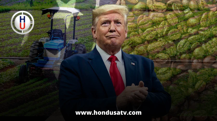 Reducción de aranceles de Trump abre una oportunidad económica para Honduras