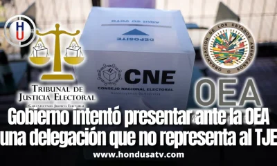 TJE expone ante la OEA un intento del gobierno por manipular la representación institucional de Honduras