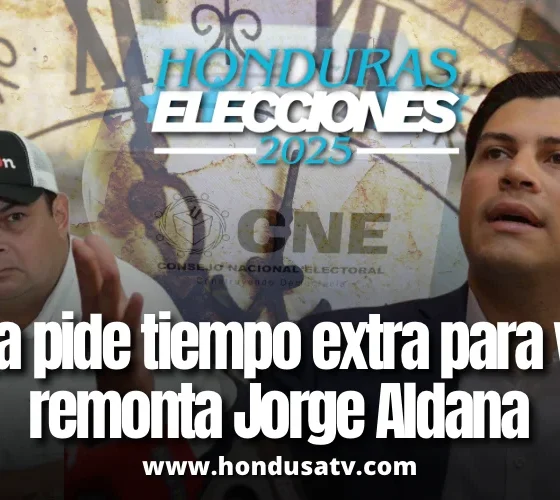 Marlon Ochoa solicita ampliar el plazo para la declaratoria de elecciones generales 2025
