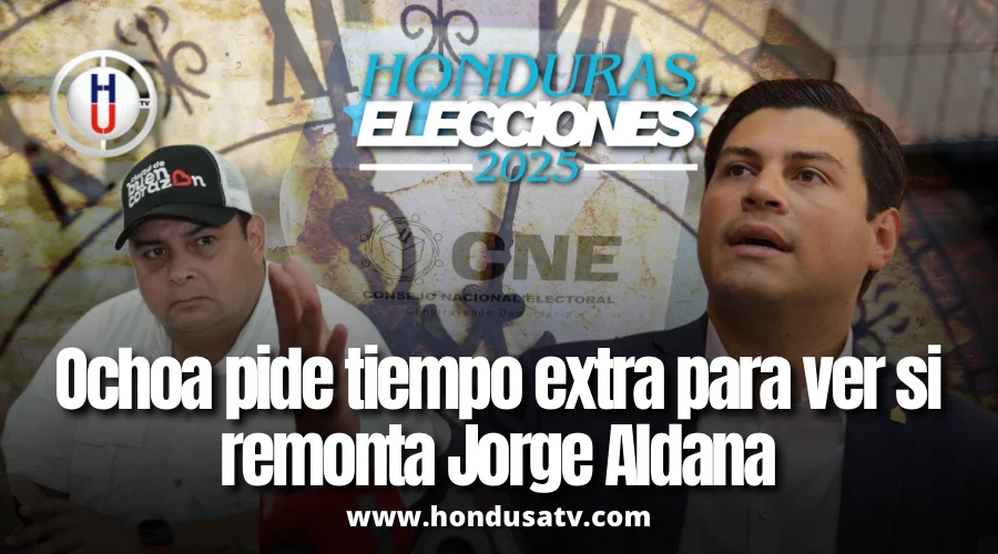 Marlon Ochoa solicita ampliar el plazo para la declaratoria de elecciones generales 2025