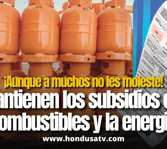 Gobierno extiende subsidios al gas LPG y energía eléctrica hasta abril de 2026
