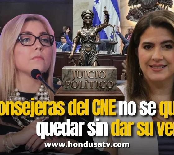 Consejeras solicitan comparecencia ante Comisión Especial para exponer hechos sobre el proceso electoral 2025