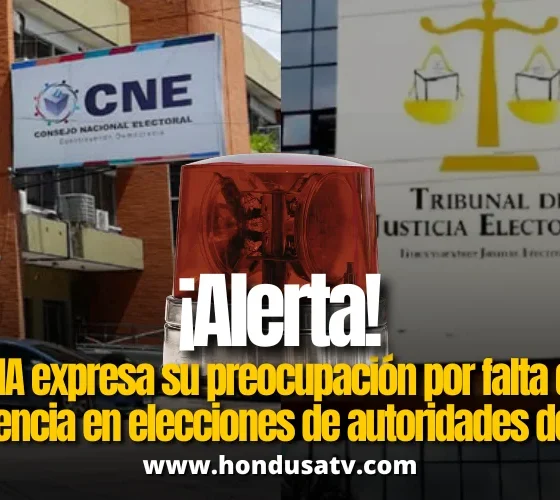 CNA alerta falta de transparencia en elección de autoridades electorales