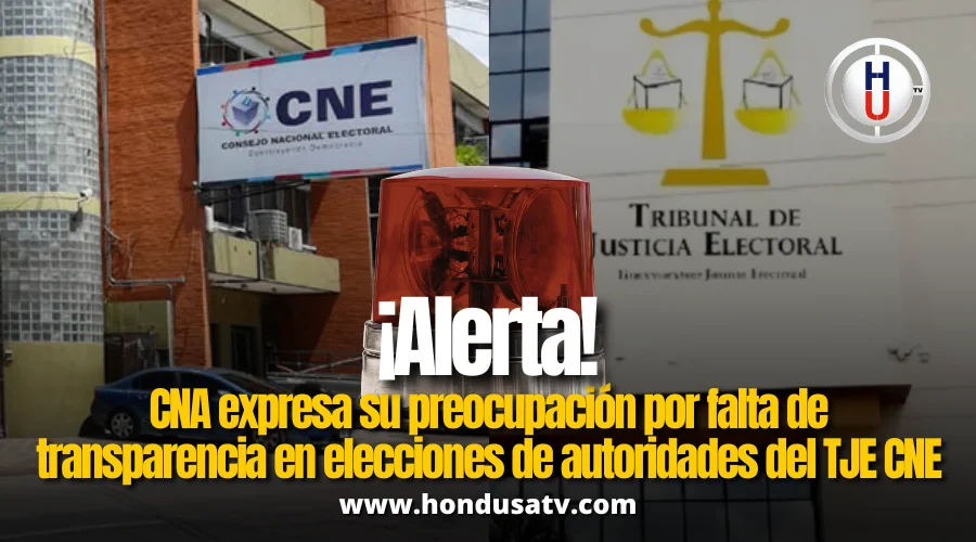 CNA alerta falta de transparencia en elección de autoridades electorales