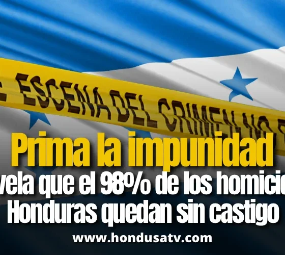 ASJ alerta sobre 98% de impunidad en homicidios en Honduras